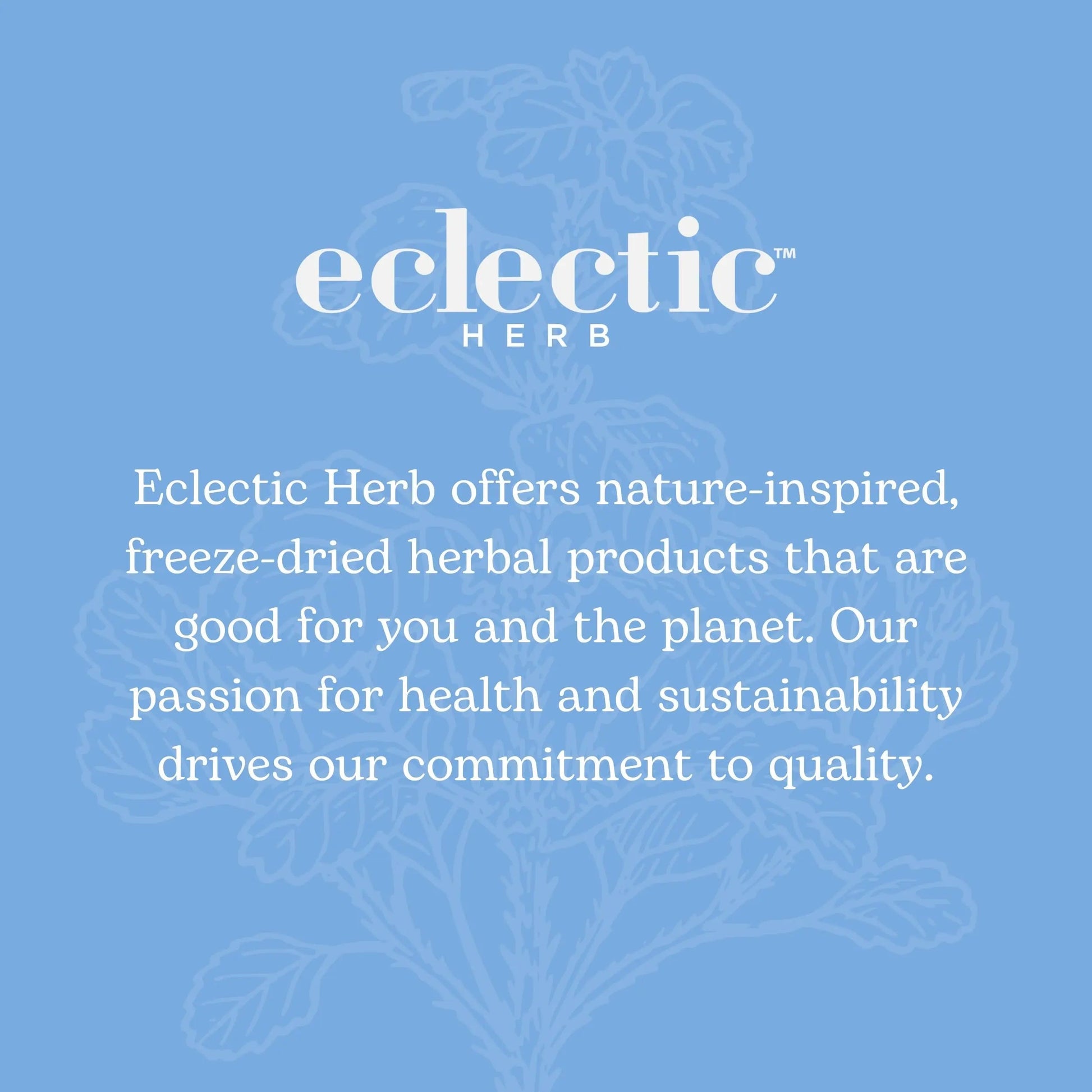 Eclectic Institute Stone Root O 2 Ounce ECLECTIC INSTITUTEBuy Supplements Australia