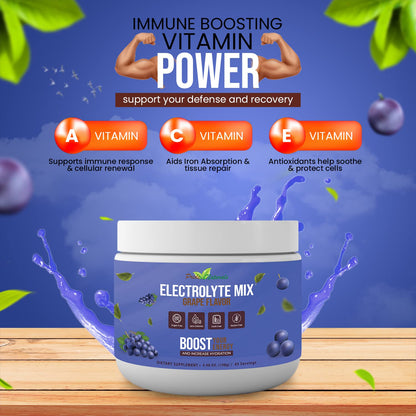 Electrolyte Powder - Refreshing Workout Recovery Electrolytes, Sugar Free, Gluten Free Pride Naturals, IncBuy Supplements Australia