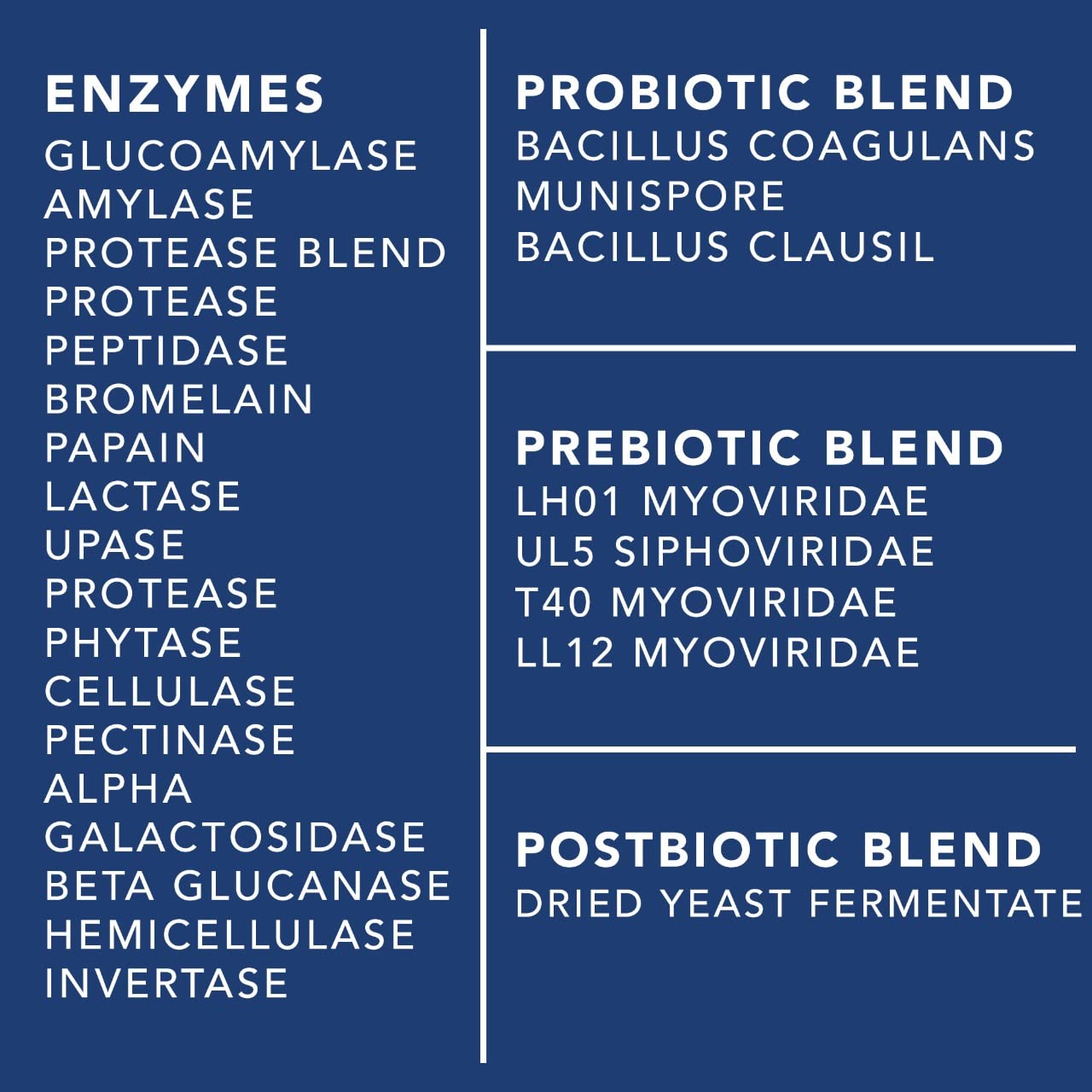 4-in-1 Prebiotic Probiotic & Postbiotic for Women & Men, Complete Gut & Digestive Support PLANT.O NUTRITIONBuy Supplements Australia