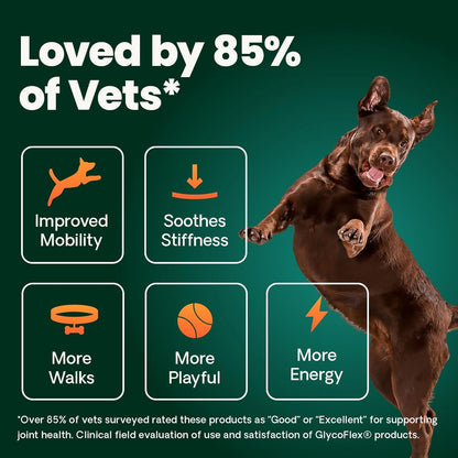 VetriScience Ultimate Strength Healthy Hip & Joint Chews, GlycoFlex Glucosamine, Chondroitin and Green-Lipped Mussel Joint Support Supplement for Dogs, Soothe Joint Discomfort, Duck, 120 Count VETRISCIENCEBuy Supplements Australia