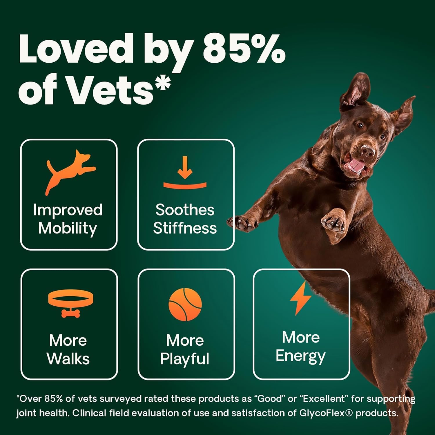 VetriScience Ultimate Strength Hip & Joint Supplement for Dogs, GlycoFlex Plus – MSM, Chondroitin & Green-Lipped Mussel Chews for Mobility, Flexibility, Comfort & Support, Peanut Butter Flavor 120 Cnt VETRISCIENCEBuy Supplements Australia