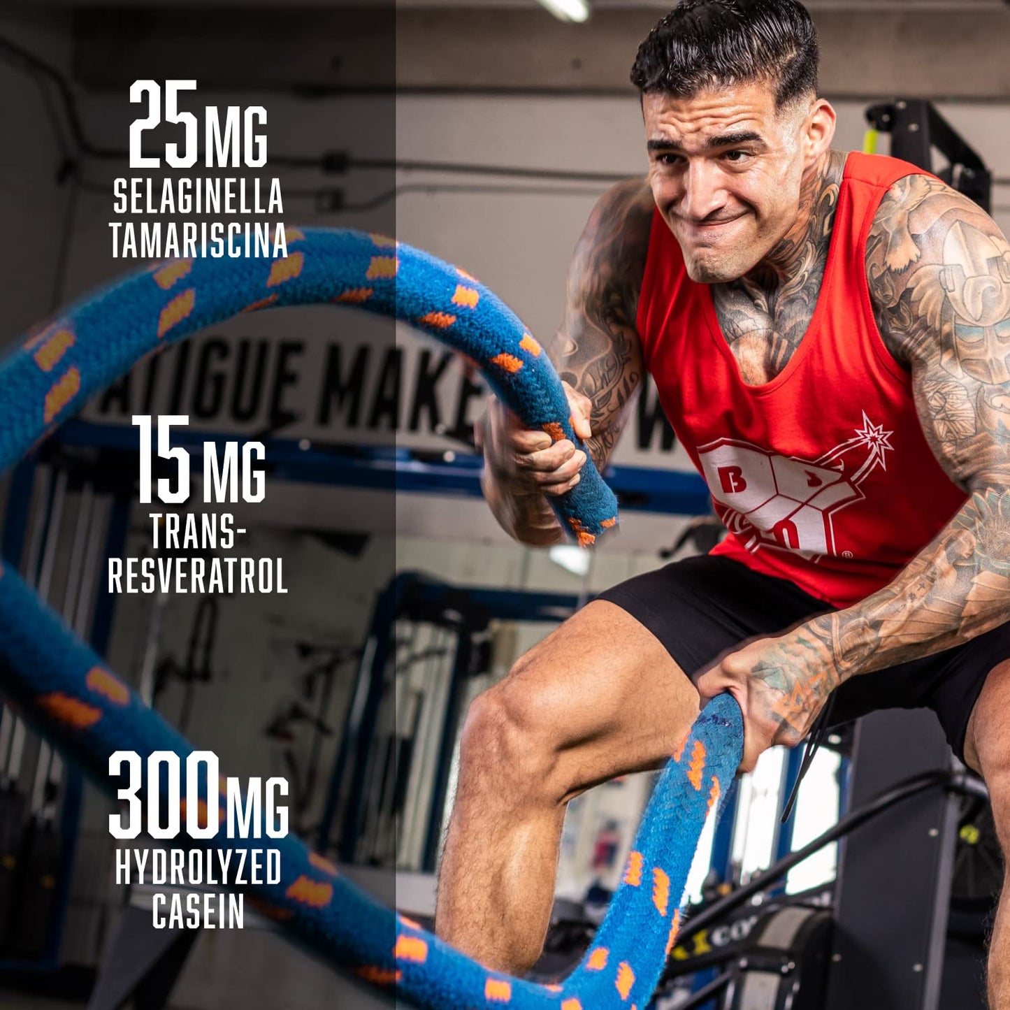 BSN N.O.-XPLODE Vaso Pre Workout Powder with 8g of L-Citulline and 3.2g Beta-Alanine BSNBuy Supplements Australia