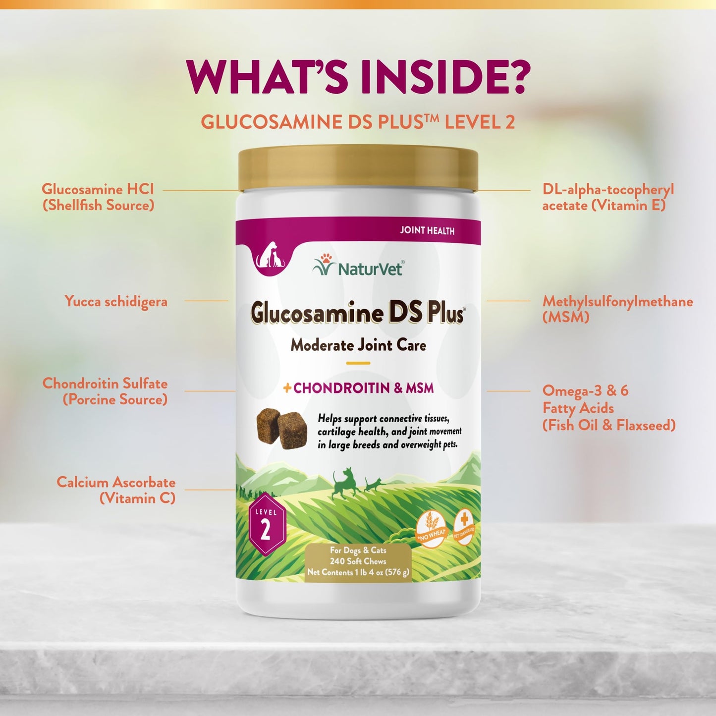 NaturVet – Glucosamine DS Plus - Level 2 Moderate Care – Supports Healthy Hip & Joint Function – Enhanced with Glucosamine, MSM & Chondroitin – for Dogs & Cats – 240 Soft Chews NaturVetBuy Supplements Australia