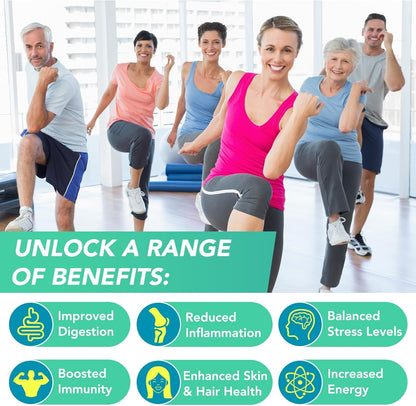 HealthyFinds Sea Moss Black Seed Oil Ashwagandha Ginger Capsules with Turmeric Bladderwrack Burdock & Vitamin C Vitamin D3 with Elderberry Manuka Dandelion Yellow Dock Iodine Chlorophyll ACV HealthyFindsBuy Supplements Australia