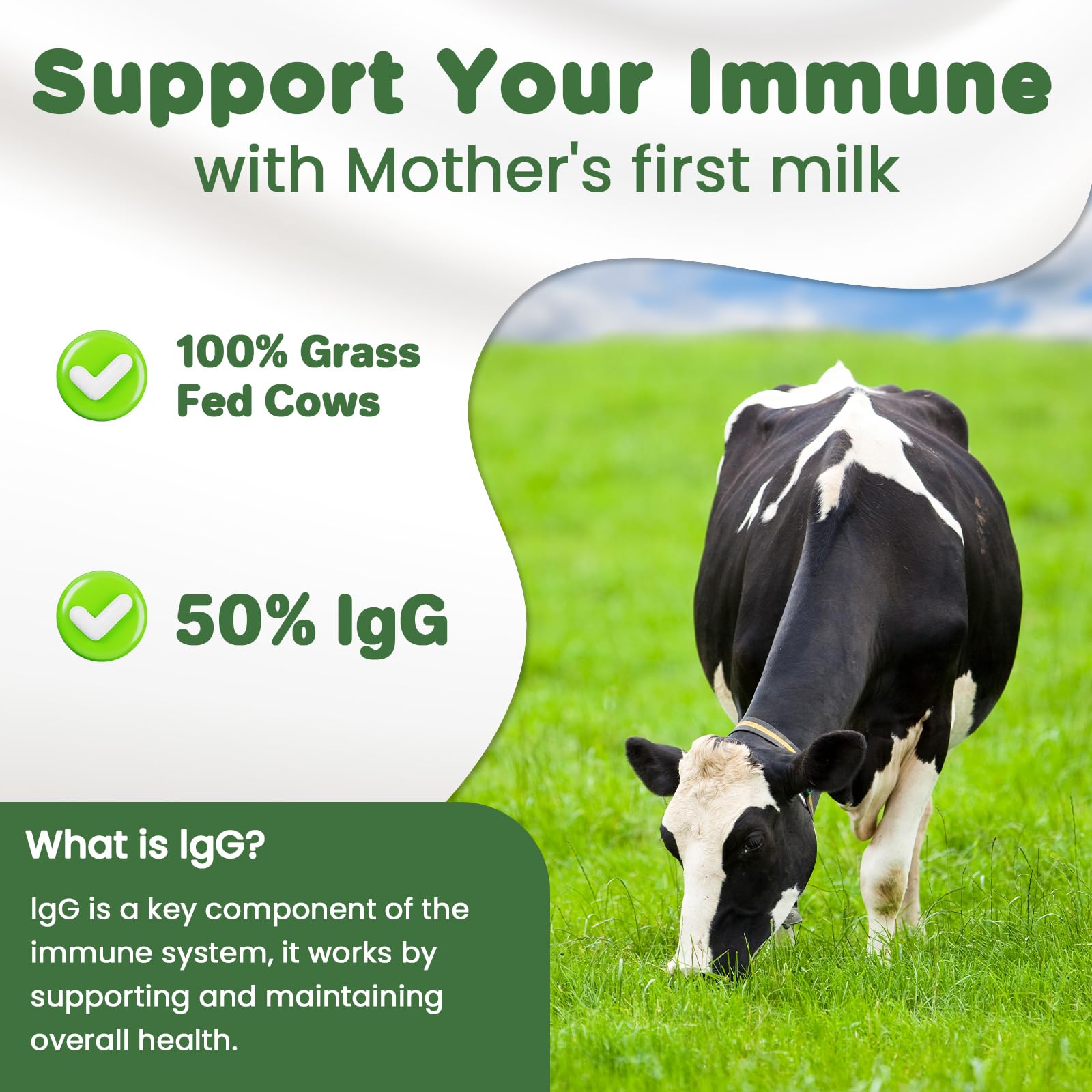 MICYDELAS Bovine Colostrum Supplement Powder 50% IgG Premium Bovine Colostrum for Gut Health Support, Immune Support, Muscle Recovery & Overall Wellness, Grass Fed, Non-GMO, Unflavored, 60 Servings MICYDELASBuy Supplements Australia
