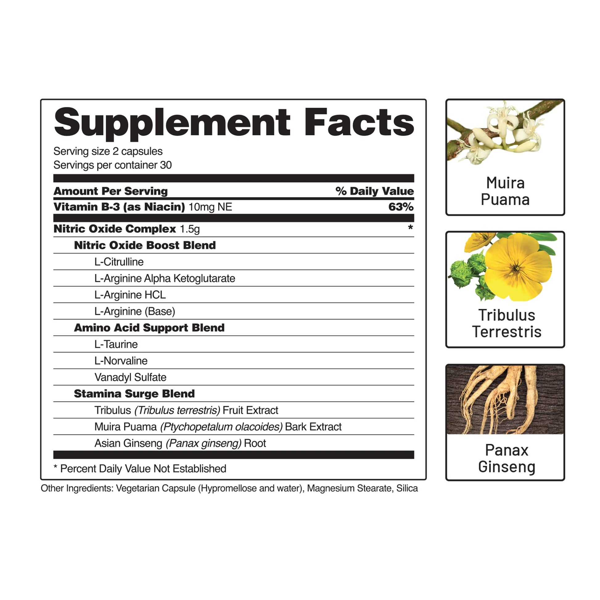 Snap Supplements Nitric Oxide Booster, Performance Formula for Stamina & Endurance Snap SupplementsBuy Supplements Australia