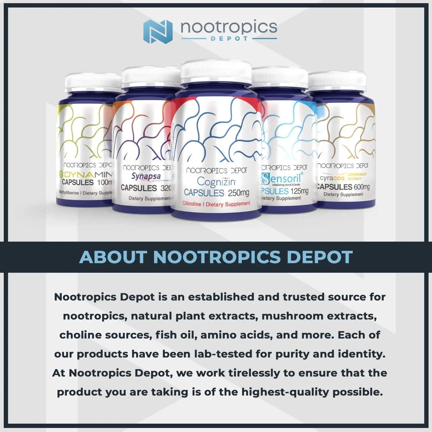 Nootropics Depot Uridine Monophosphate Capsules | Disodium Salt (60 Count) Cognitive Enhancer* | Nootropic | Choline Precursor Nootropics DepotBuy Supplements Australia