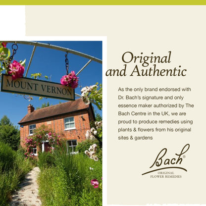 Bach Original Flower Remedies, Wild Rose for Enthusiasm (Non-Alcohol Formula), Natural Homeopathic BachBuy Supplements Australia