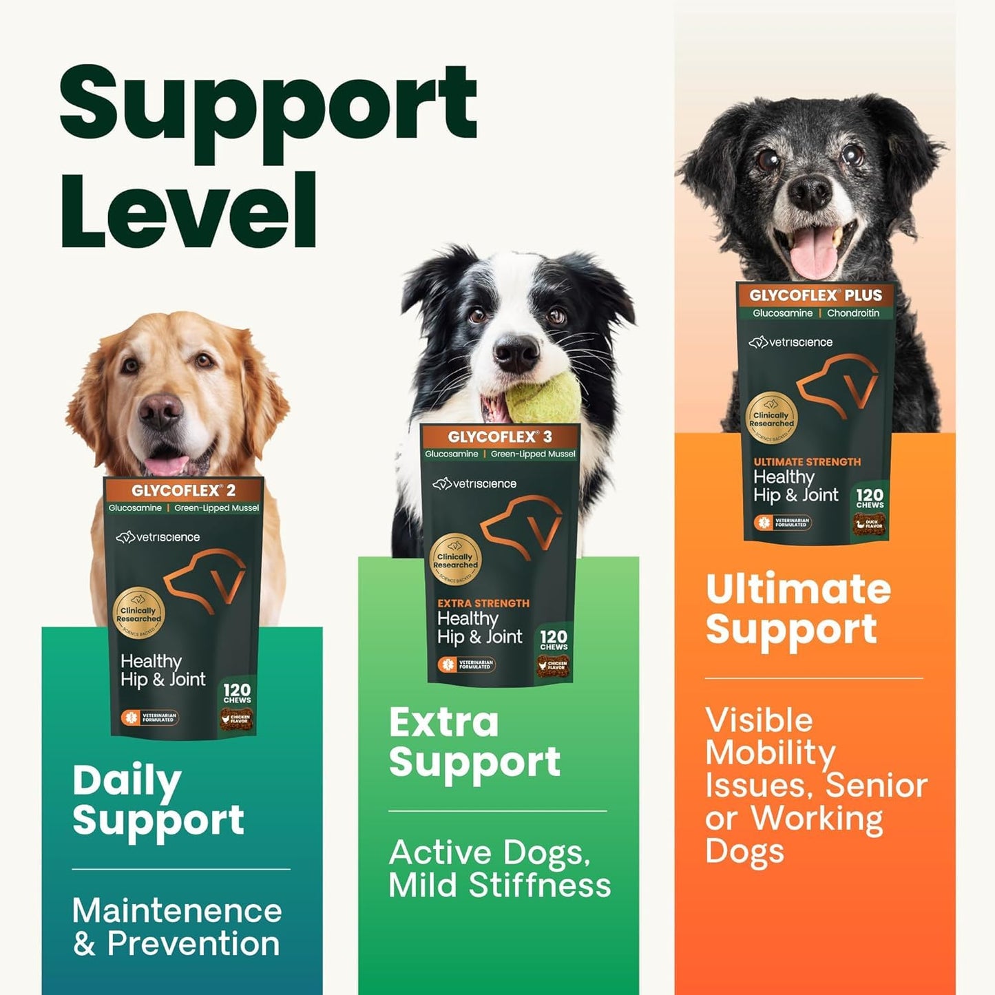 VetriScience Ultimate Strength Healthy Hip & Joint Chews, GlycoFlex Glucosamine, Chondroitin and Green-Lipped Mussel Joint Support Supplement for Dogs, Soothe Joint Discomfort, Duck, 120 Count VETRISCIENCEBuy Supplements Australia