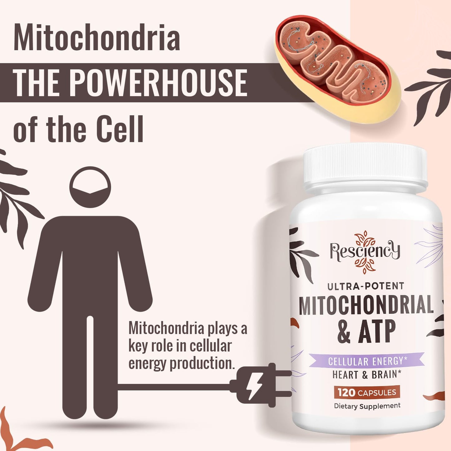 Resciency 2326 MG Mitochondrial Supplements with ATP, Vitamins, CoQ10 & PQQ, More Effective Than Creatine HMB & Nitric Oxide, Energy, Endurance, Strength, Recovery & Muscle, Organic, 120 Capsules ResciencyBuy Supplements Australia
