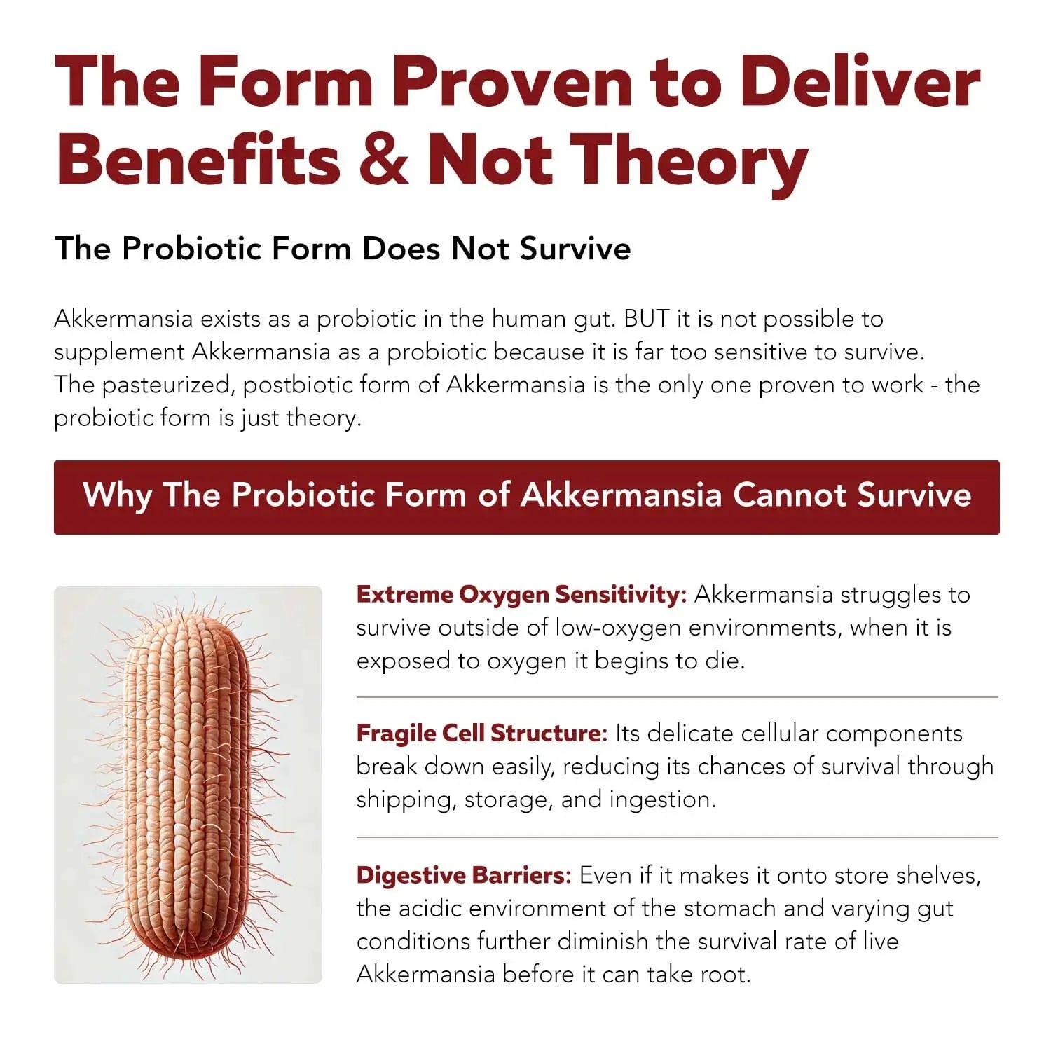 AK-Postbio: Akkermansia Probiotic 30 Billion TFU - Max Strength, Clinically Validated Dose & Patented Strain - Superior Pasteurized Form, Highest Absorption, Delivery - GLP-1 Probiotic - 30 Servings Triquetra HealthBuy Supplements Australia