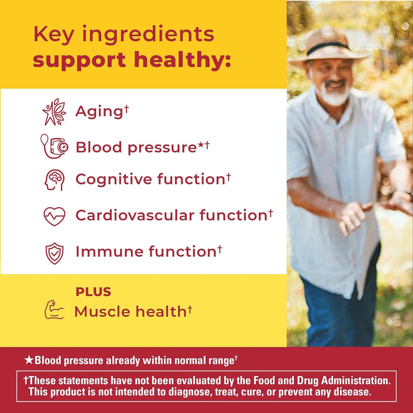 Nature Made Advanced Multivitamin Gummies 50 + for Him, Mens Multivitamins Gummies with Magnesium Citrate Nature MadeBuy Supplements Australia