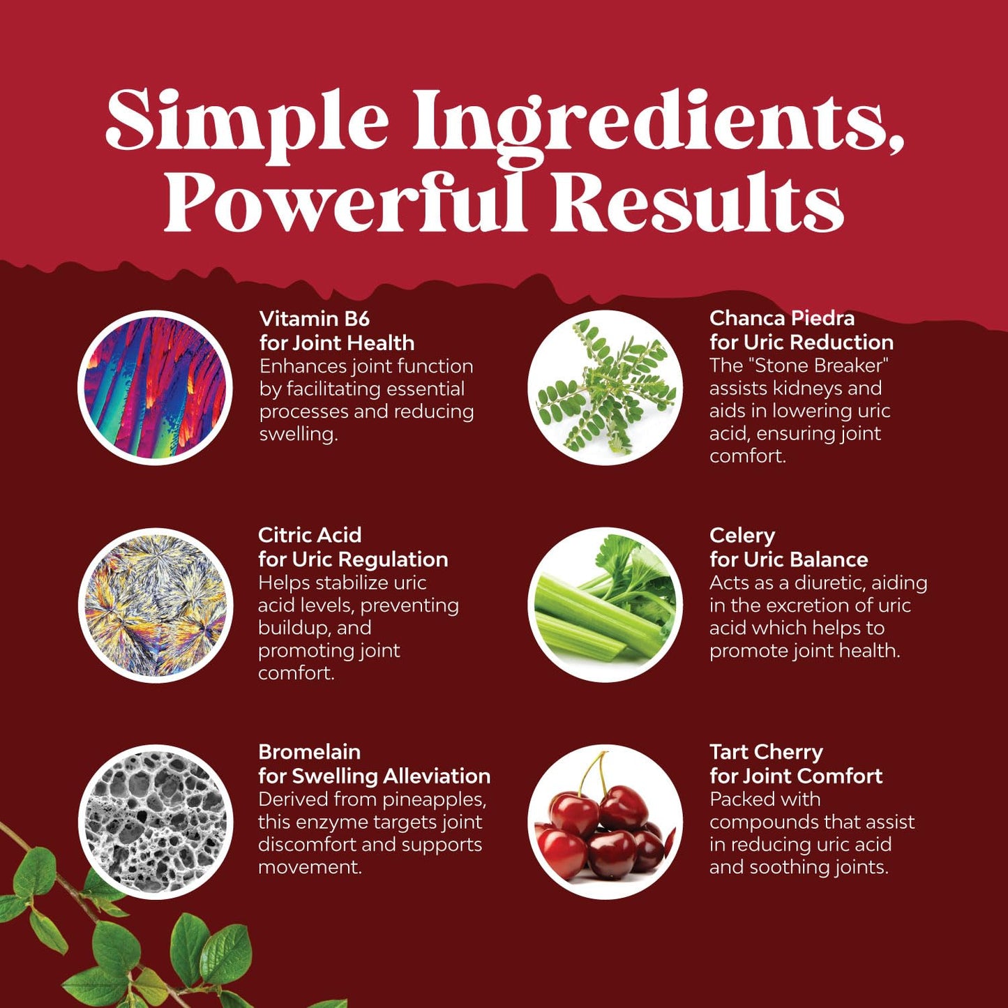 Tart Cherry Capsules for Joint Support and Kidney Cleanse - Daily Uric Acid Detox and Cleanse Natures CraftBuy Supplements Australia