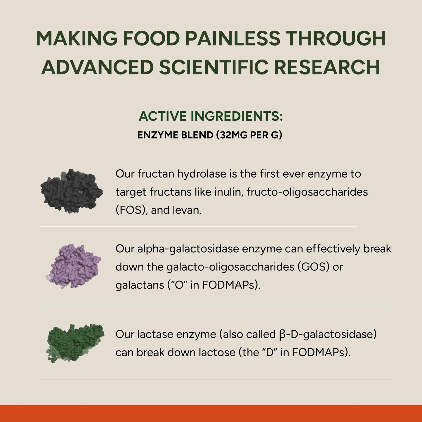 FODZYME® On-The-Go Digestive Enzymes for Gut Health, Relief for Bloating, Gas, Constipation, Diarrhea,