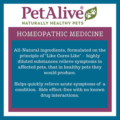 PetAlive Muscle and Joint Support-M - Natural Homeopathic Formula for Joint Pain and Stiffness in Pets - Supports Joint Health and Movement in Dogs and Cats - 59 mL PetAliveBuy Supplements Australia
