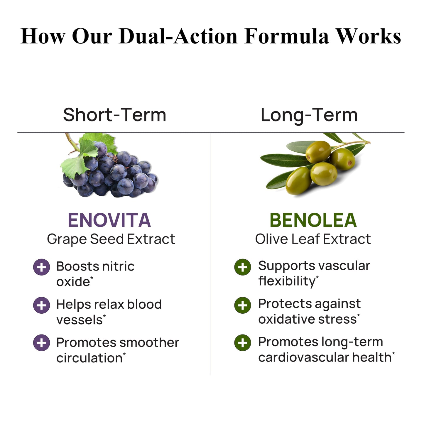 Durable Blood Pressure – Benolea Olive Leaf & Enovita Grape Seed Extract – Healthy Circulation, Nitric Oxide & Artery Support – Doctor Formulated, Vegan, Non-GMO, Made in USA (60 Capsules) DurableBuy Supplements Australia