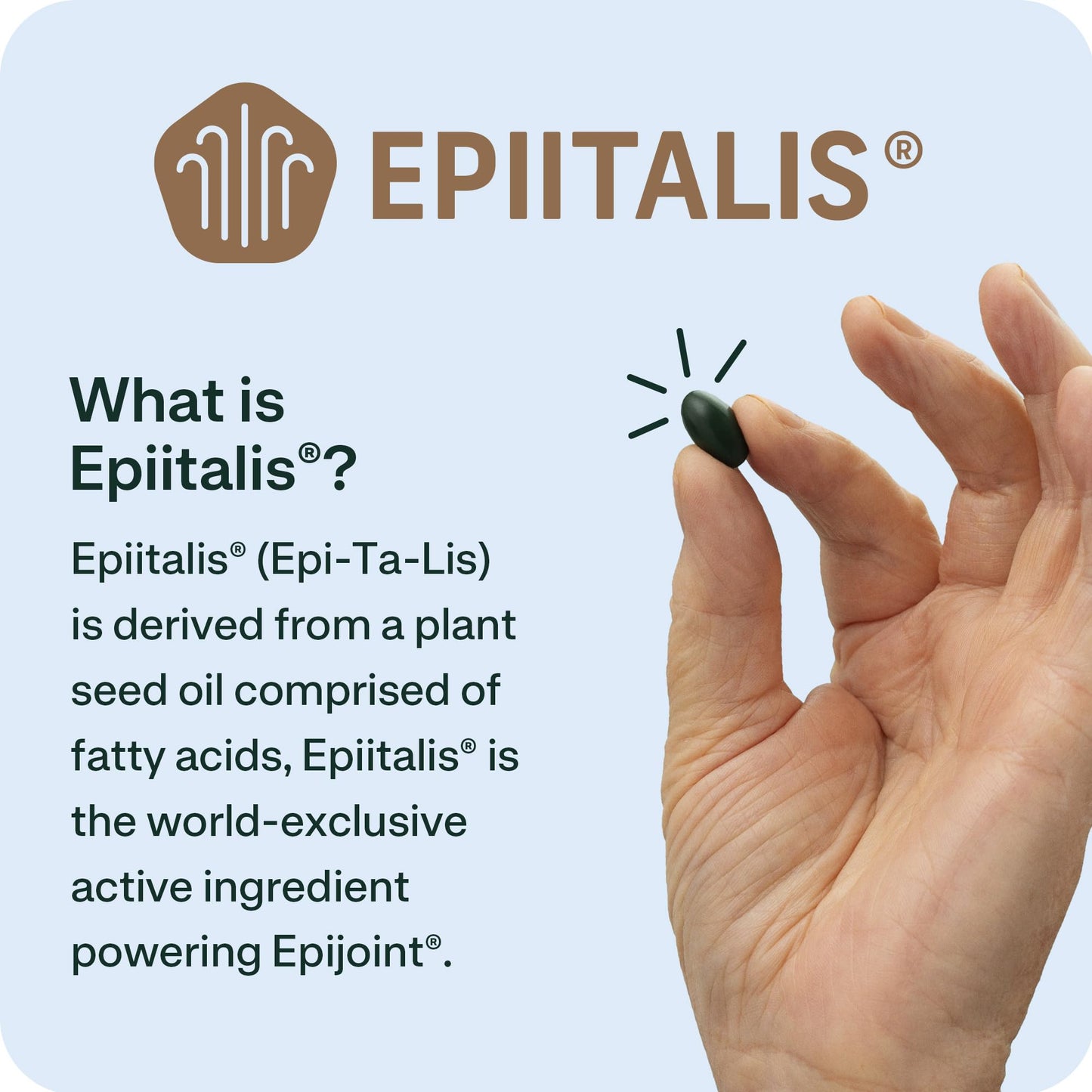 EPIJOINT Joint Support – Supports Mobility & Osteoarthritis – May Help Reduce Inflammation with Patented Epiitalis – 60 Capsules EPIJOINTBuy Supplements Australia