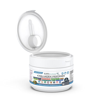 KAPPA NUTRITION Collagen Type I, II, III, 6 Billion Probiotic Acid Resistance, Hyaluronic Acid, Vitamin C, Biotin, Copper and MCT Oil, Beautiful Hair, Nails, & Skin, Collagen Peptides 9 in 1 (11.9oz) KAPPA NUTRITIONBuy Supplements Australia