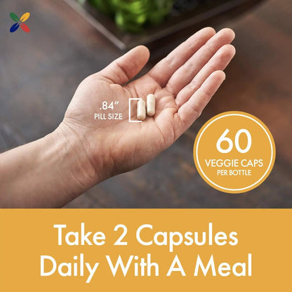 Stop Aging Now - BladderControl360 Formula - Bladder Control Support - Go-Less & Probiotics - Urinary Health Probiotic Supplement - Lactobacillus Rhamnosus, Pumpkin Seed & Soy Germ Extracts - 60 Vcaps Stop Aging NowBuy Supplements Australia