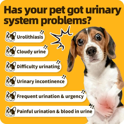 Cassiel Pet Bladder Supports Chews for Urinary Tract Health, Infection Treatments, Bladder Health, Dog UTI, Bladder Stones, Incontinence Support, Urinary Pain Relief for Cat & Dog 10 Chews (1 Bottle) Cassiel petBuy Supplements Australia