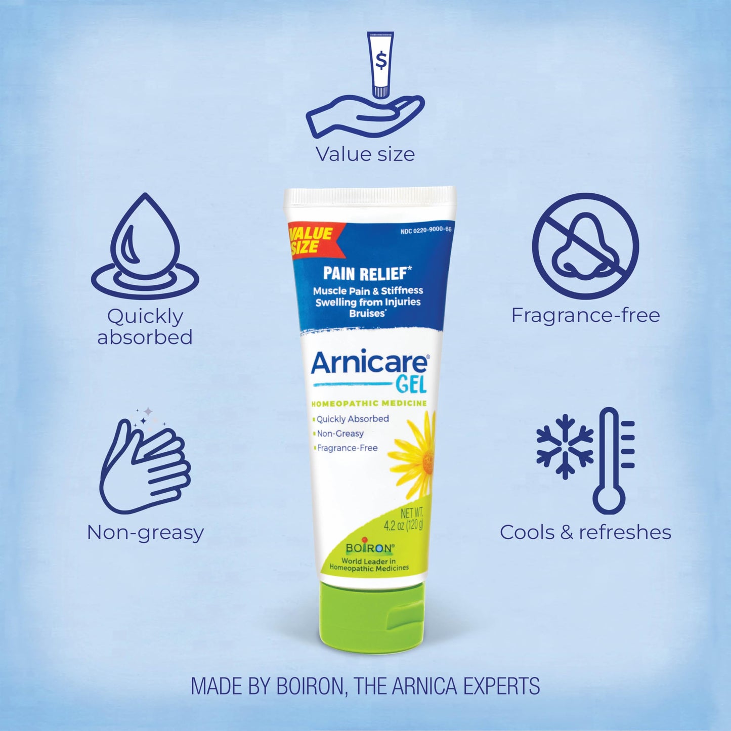 Boiron Arnicare Gel 4.2 oz (Twin Pack) for Joint Pain Relief, Muscle Pain, Muscle Soreness, and Swelling from Bruises or Injury - Non-Greasy and Fragrance-Free Arnica BoironBuy Supplements Australia