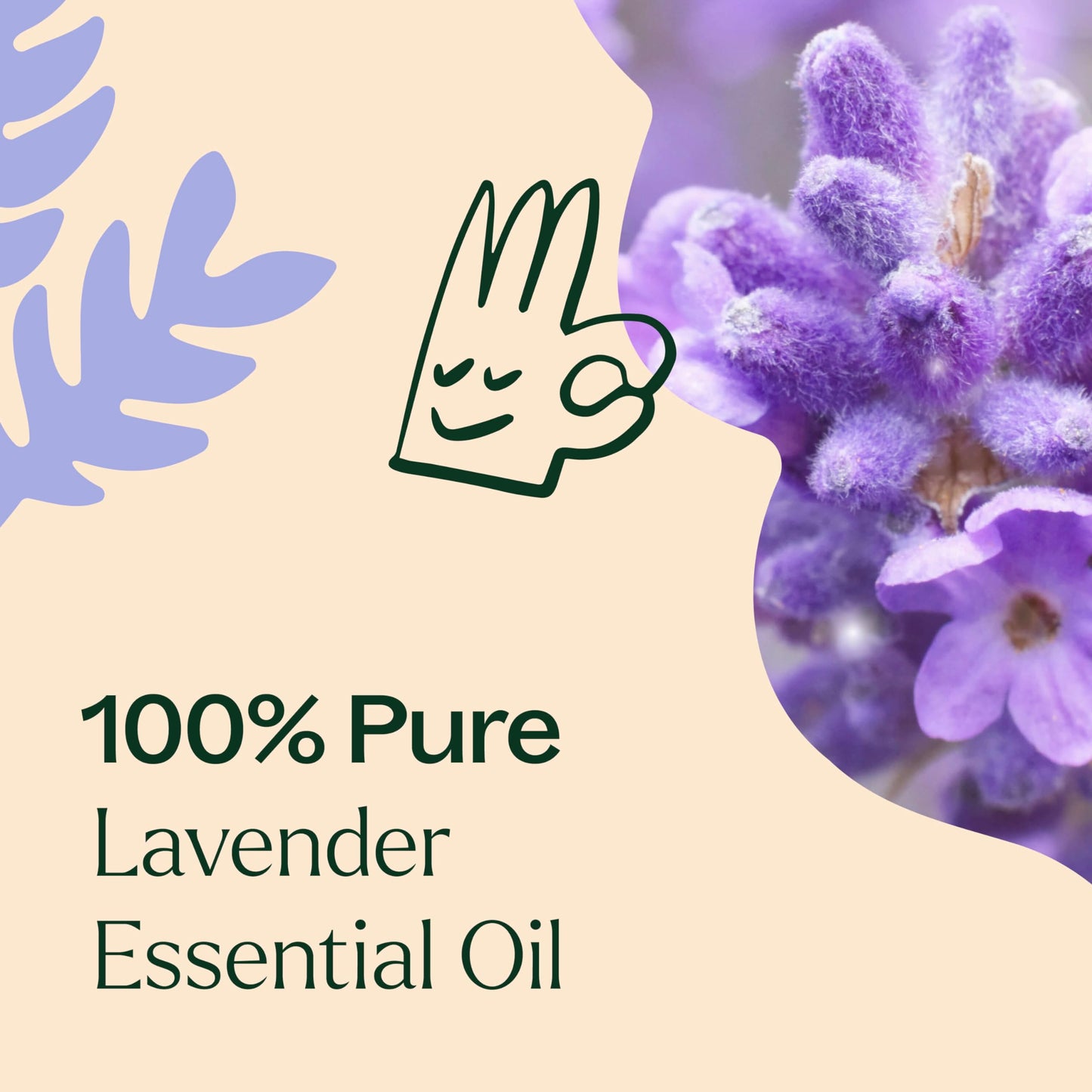 Plant Therapy Lavender Essential Oil 100% Pure, Undiluted, Therapeutic Grade, Aromatherapy Diffuser Plant TherapyBuy Supplements Australia