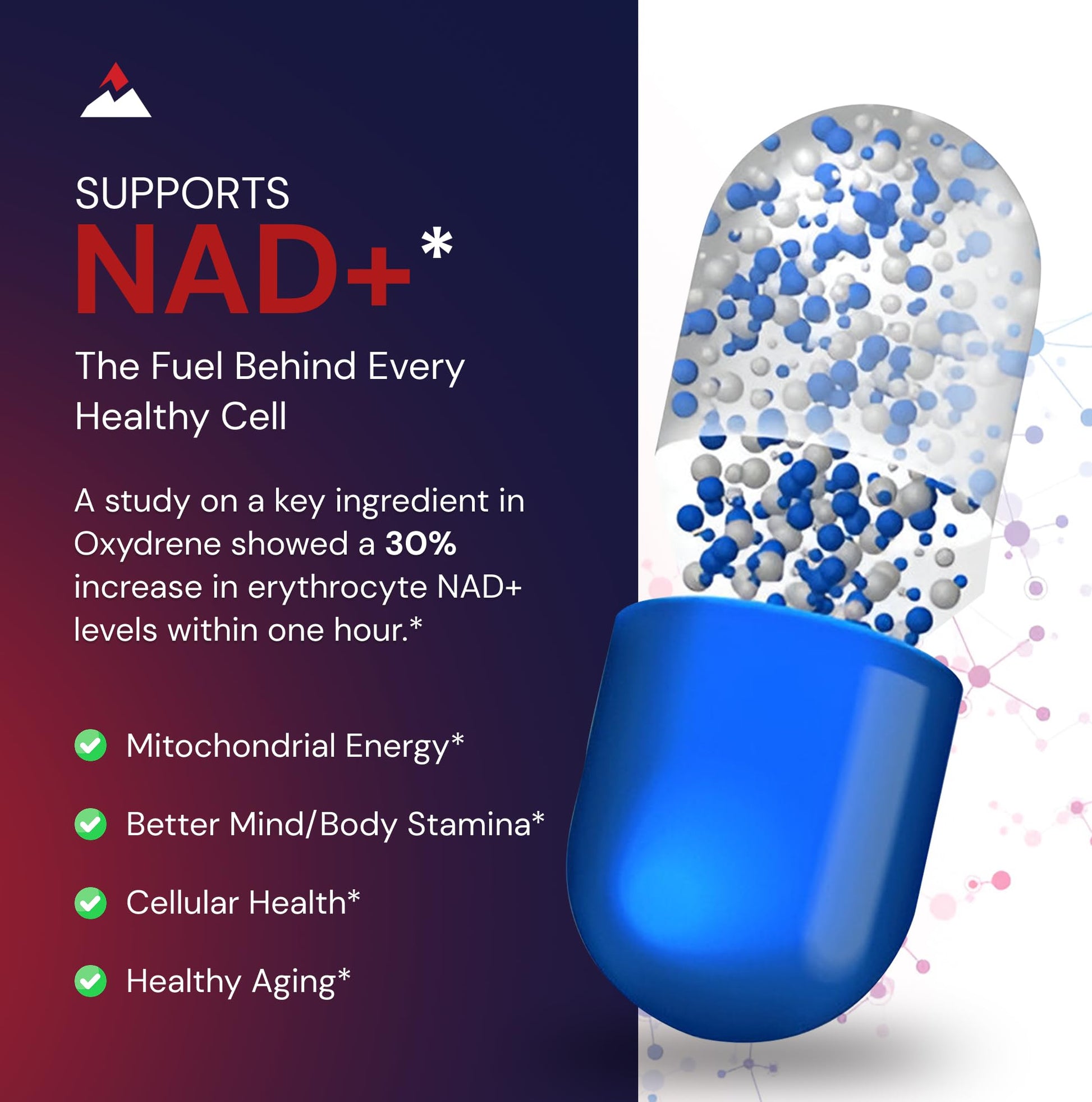 Novex Biotech Oxydrene NAD+ Enhancer - Natural Supplement Promoting Metabolism and Cardiovascular Support for Men and Women - (60 Capsules) Novex BiotechBuy Supplements Australia