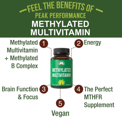 Methylated Multivitamin + Methylated B Complex Supplement. With Trimethylglycine (TMG), L Methylfolate, Methyl B12 + B1 + B2 + B6 Vitamins + Choline Peak Performance