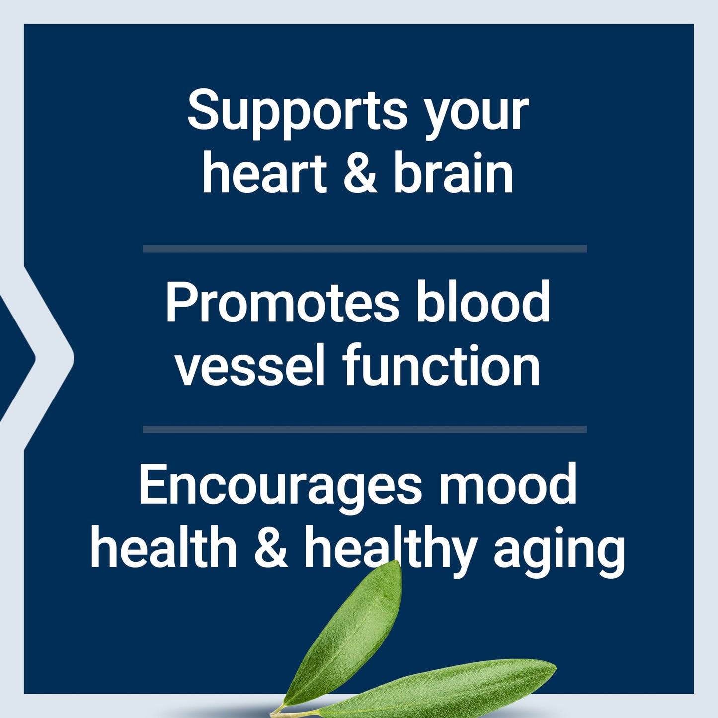 Life Extension Super Omega-3 EPA/DHA Fish Oil, Sesame Lignans & Olive Extract – Heart Health, Brain Health, Inflammation Health Support, Gluten-Free, Enteric-Coated, Non-GMO, 120 Softgels Life ExtensionBuy Supplements Australia