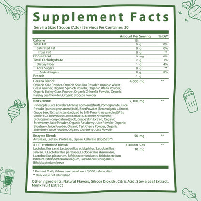 GOBIOTIX Super Greens Powder with Organic Spirulina - Superfood Supplement GOBIOTIXBuy Supplements Australia