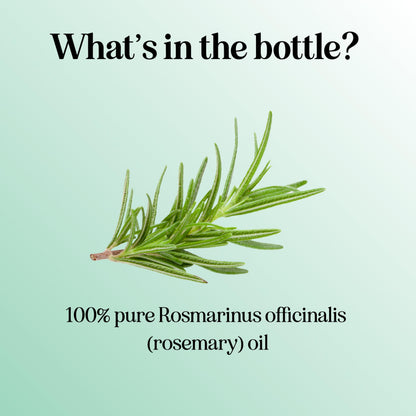 Pure Rosemary Essential Oil for Aromatherapy - Pure Rosemary Oil for Hair Skin and Nails Maple HolisticsBuy Supplements Australia
