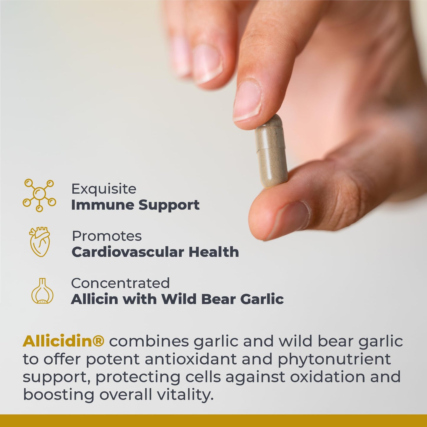 Premier Research Labs Allicidin - Garlic Allicin Supplement, Garlic Supplements, Garlic Pills, Allicin Extract, Garlic Extract, Odorless Garlic Capsules, Immune Support - 60 Vegetarian Capsules Premier Research LabsBuy Supplements Australia