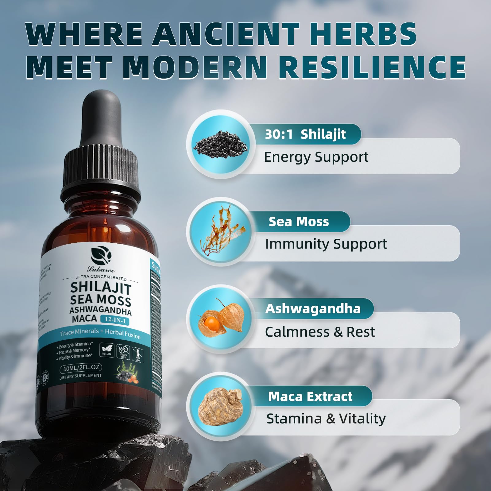 Shilajit Liquid Drops, 12-in-1 Complex - Sea Moss, Ashwagandha, Maca, Fulvic Acid, Trace Minerals, Liquid Vitamins Supplement for Men and Women, Energy, Antioxidant, Immune Support, 60ML/2 FL Oz LukareeBuy Supplements Australia