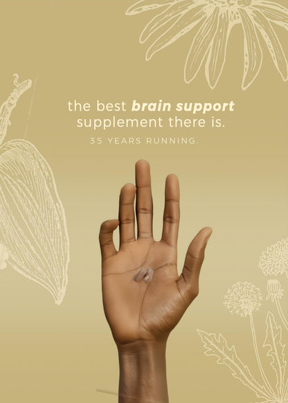 DiamondMIND Brain Support Supplement - Natural Formula for Mental Energy & Cognitive Function - Focus, Clarity, and Memory Supplement - Less Mental Stress - Vegan, Gluten-Free, Dairy-Free - (60 Count) HerpanacineBuy Supplements Australia