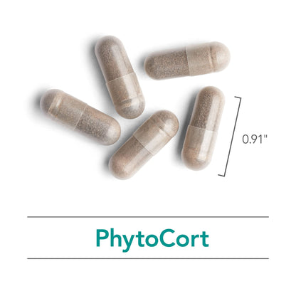 Nutricology PhytoCort Supplement - Respiratory Support, Lung Health, Lung Detox, Lung Cleanse, Healthy Breathing, Herbal Support, Reishi, Licorice, Noni, Vegetarian Capsules - 120 Count NutricologyBuy Supplements Australia