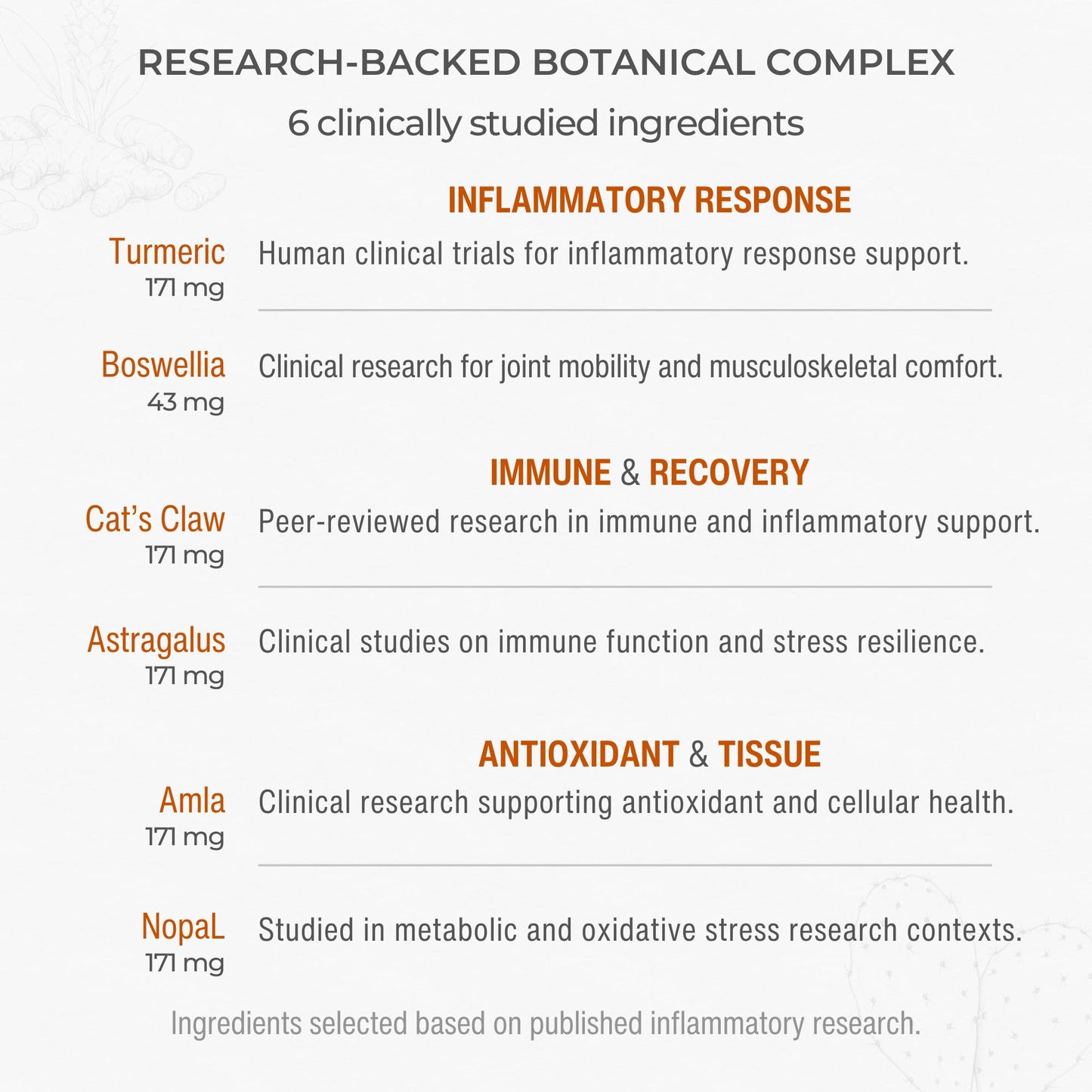 Muscle & Joint Support Supplement – Botanical Formula for Healthy Inflammatory Response | 6 Research-Backed Botanicals | Organic Turmeric | 60 Capsules | Sana Herbal Sana Herbal SciencesBuy Supplements Australia