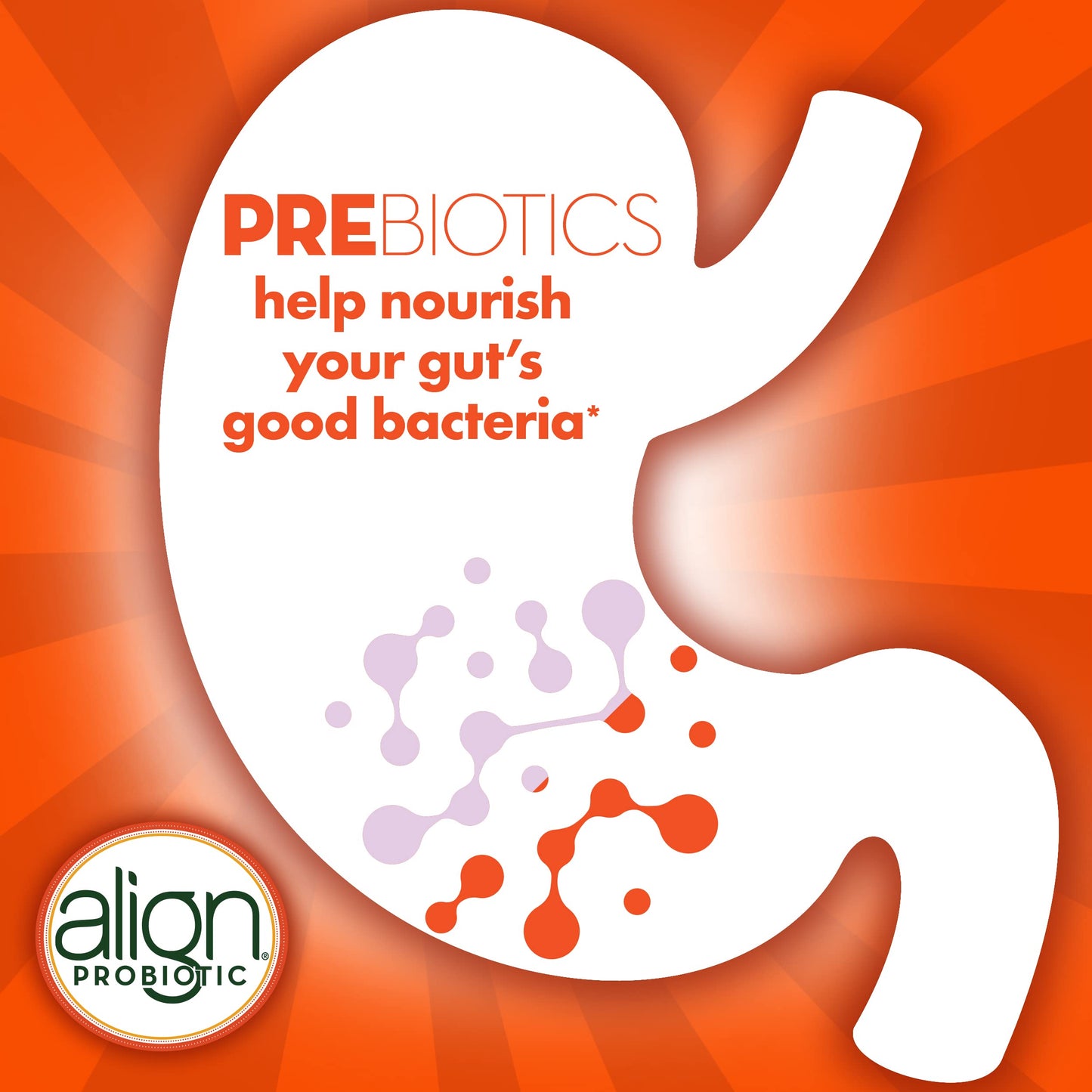Align Digestive Health Prebiotic + Probiotic Supplement Gummies in Natural Fruit Flavors AlignBuy Supplements Australia