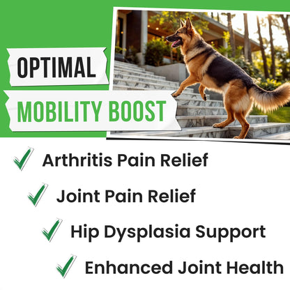 Pawsential Hemp Treats - Dog Joint Supplement - Mobility Support Chews w/Glucosamine Chondroitin, Turmeric, MSM - Hip & Joint Chews - Joint Pain Relief Treats - 120Ct PawsentialBuy Supplements Australia