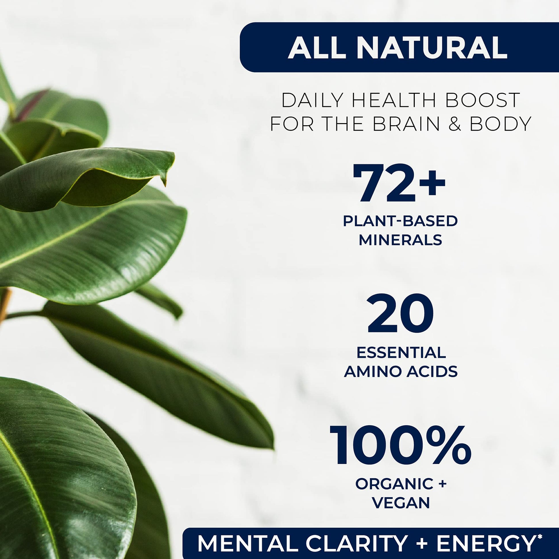 Miracles of Health Liquid Chelated Minerals - Organic Humic Fulvic Mineral Blend - 72+ Plant-Based Minerals, 20 Essential Amino Acids - 100% Natural - 1 Month Supply, 32 fl. oz Miracles of HealthBuy Supplements Australia