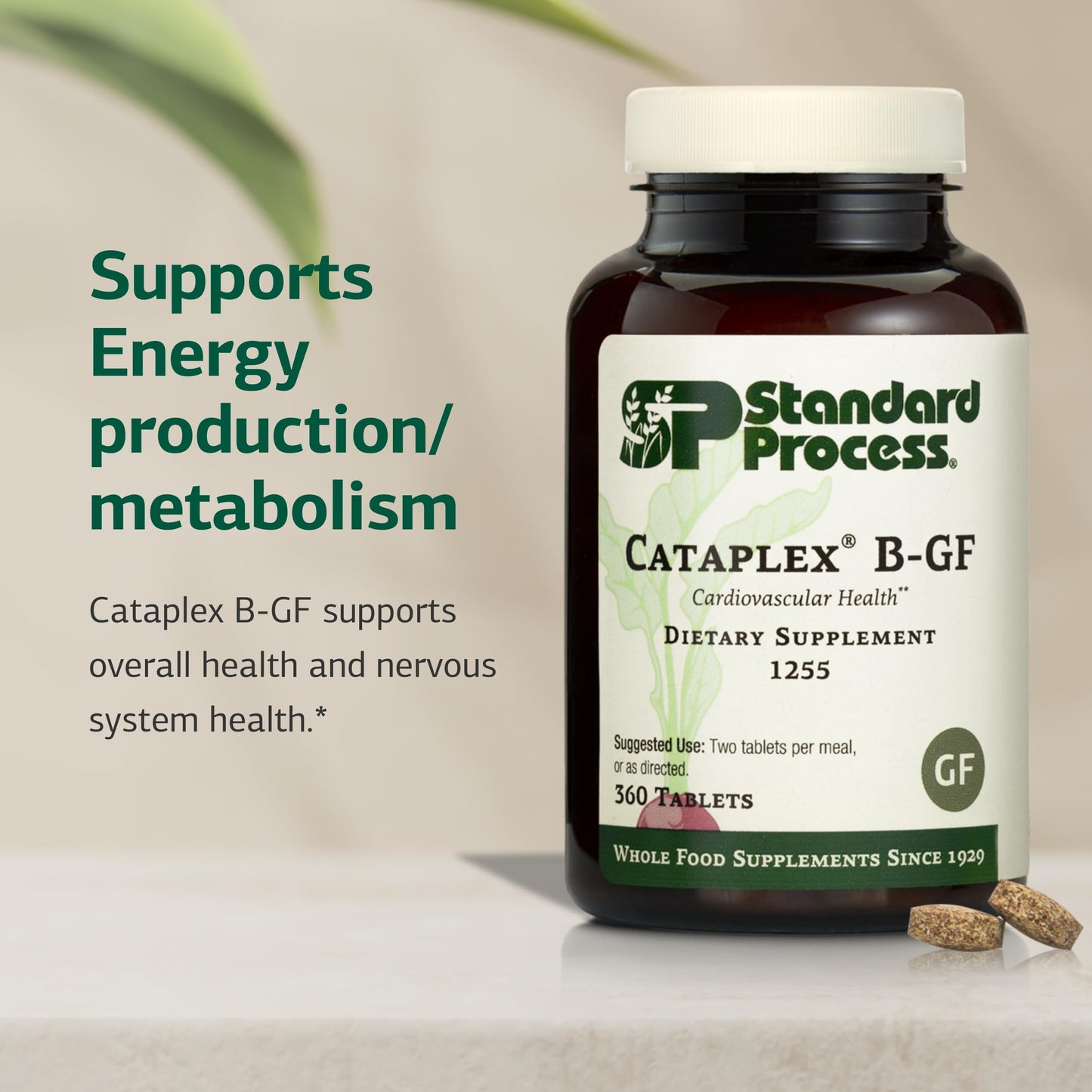 Standard Process Cataplex B-GF - Supports Nervous System Health - B Vitamins for Energy & Heart Support - Aids Energy During Physical Activity - Gluten-Free, Non-Soy & Non-Dairy - 360 Tablets Standard Process Inc.Buy Supplements Australia