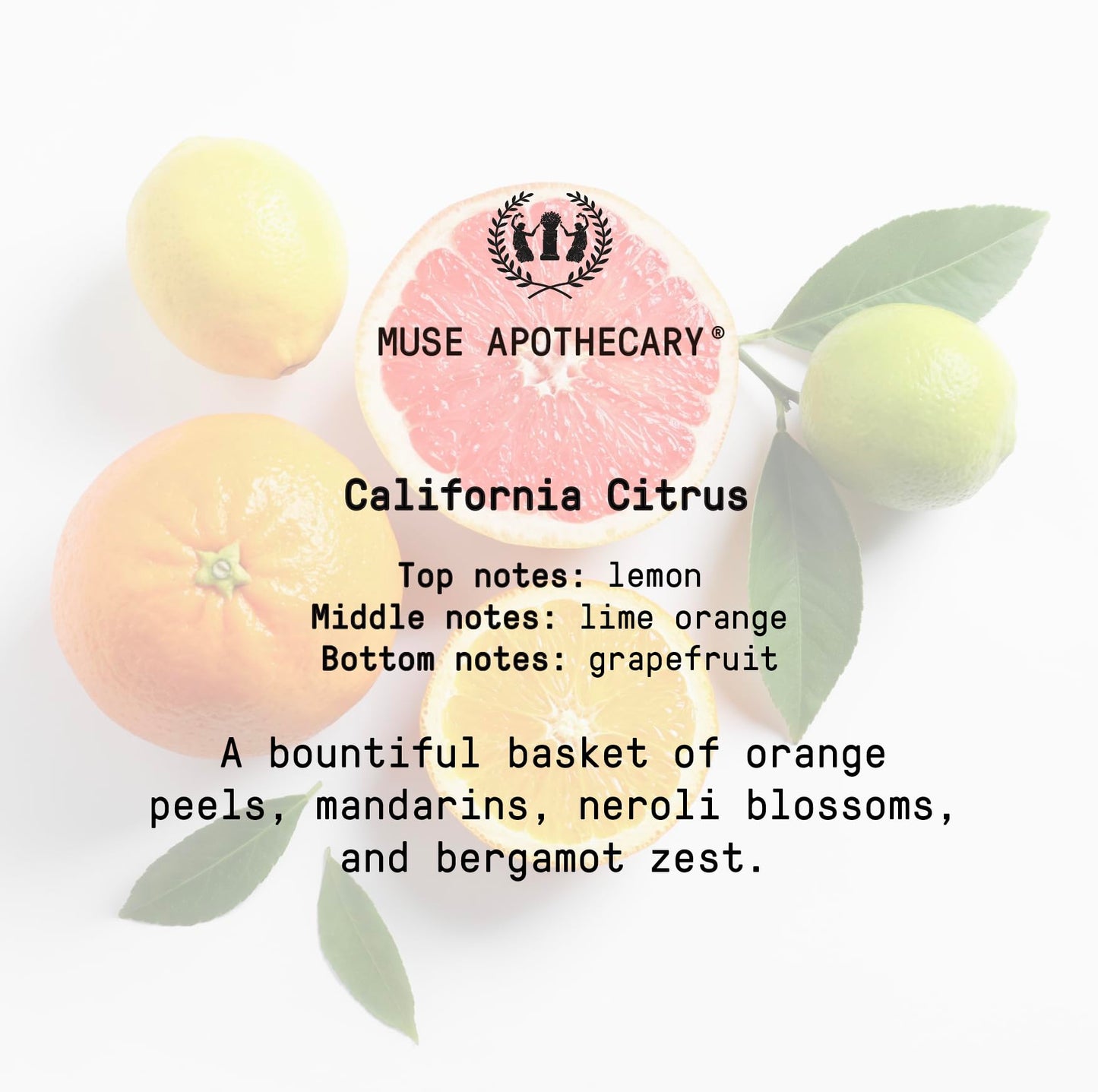 Muse Bath Apothecary Room Ritual - Aromatic and Relaxing Room Mist, 8 oz, Infused Muse ApothecaryBuy Supplements Australia