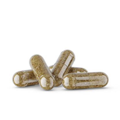 Germa Chanca Piedra Supplement – 500mg Phyllanthus Niruri – Traditional Stone Breaker Herb for Urinary & Kidney Support – Rainforest Botanical – 100% Natural Vegan Capsules, 100 Count GermaBuy Supplements Australia