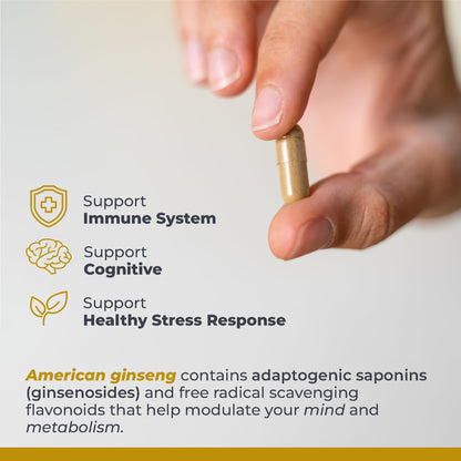 Premier Research Labs American Ginseng Supplement - American Ginseng Capsules, Herbal Ginseng Root Pills, North American Ginseng Herb Extract, Calming Energy Supplement - 60 Plant-Based Capsules Premier Research LabsBuy Supplements Australia