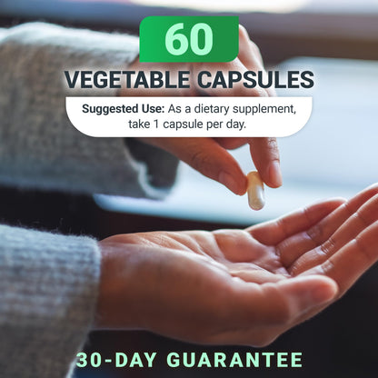 Dr. Berg Natural Vitamin B1 B6 B12 Complex - Allithiamine Vitamin B1 Supplement with 8 Essential Vitamin B Complex for Men & Women Including Thiamin, Niacin, Folate, Magnesium & More - 60 Capsules Dr. Berg NutritionalsBuy Supplements Australia