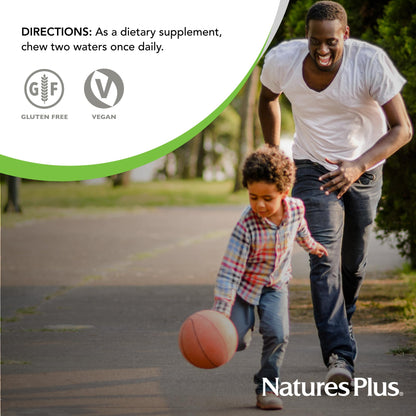 Natures Plus Source of Life Adult’s Chewable, Apple Cinnamon - 90 Wafers, Pack of 2 - Multi-Vitamin & Mineral Supplement - Gluten Free, Vegetarian - 90 Total Servings NaturesPlusBuy Supplements Australia