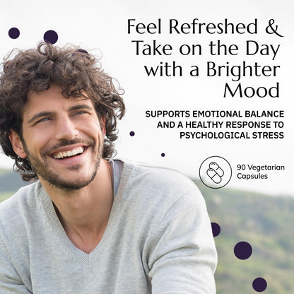 Neurobiologix Neuro Calm & Rebalance, L Theanine, Magnesium, Zinc & Kava Kava Complex for Calm Mood Balance and Stress Support, GABA Activity Support Supplement, Gluten Free, Vegetarian, 90 Capsules NeurobiologixBuy Supplements Australia