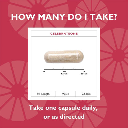 Celebrate Vitamins CelebrateONE, Iron Free - Once Daily Bariatric Multivitamin, Essential Vitamins & Minerals Celebrate Bariatric SupplementsBuy Supplements Australia