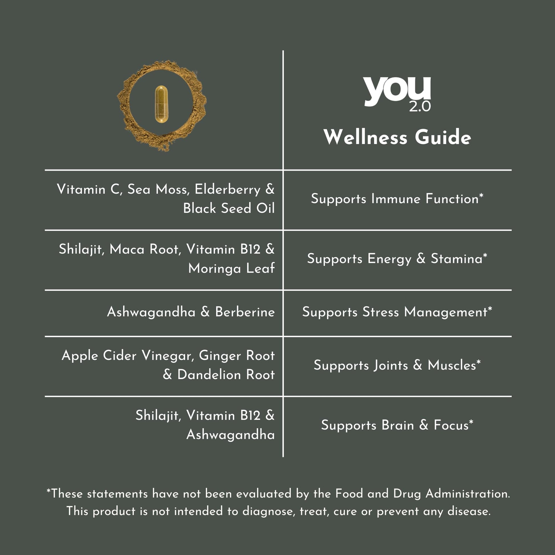 YOU 2.0 Powerhouse Superfood with Seamoss, Shilajit, Ashwagandha, Berberine, Maca, Black Seed Oil, Turmeric, Vitamin C, D, B12, K2 - Moringa, Apple Cider, Made in USA for Overall Health & Immunity YOU 2.0Buy Supplements Australia