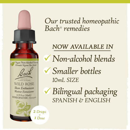 Bach Original Flower Remedies, Wild Rose for Enthusiasm (Non-Alcohol Formula), Natural Homeopathic BachBuy Supplements Australia