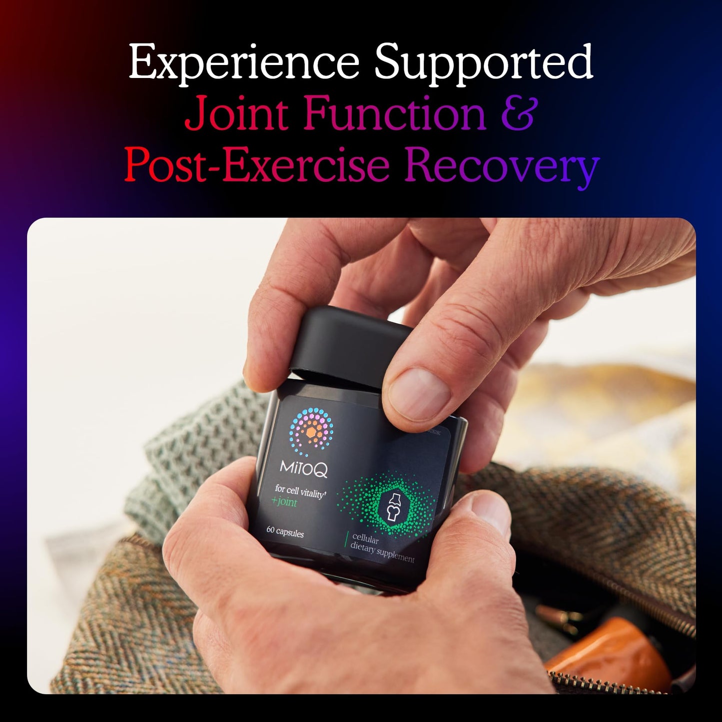 MitoQ +Joint Advanced CoQ10 Antioxidant Supplement - Contains Mitoquinol Mesylate & Green Lipped Mussel Omega Oil Extract - Supports Healthy Joint, Mobility and Cell Vitality (60 Softgel Capsules) MitoQBuy Supplements Australia